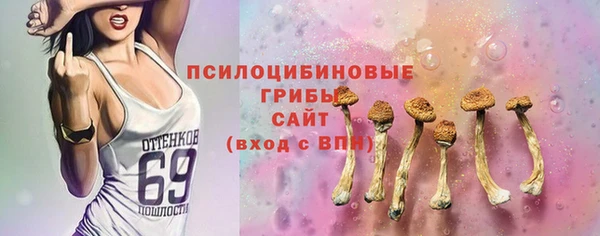герыч Козельск