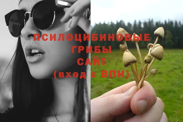apvp Кодинск