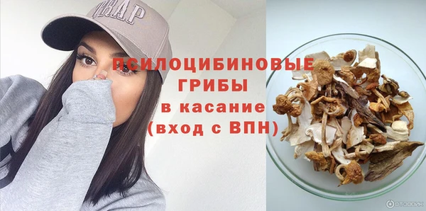 apvp Кодинск